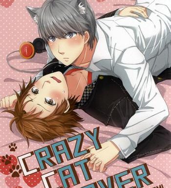 crazy cat lover cover