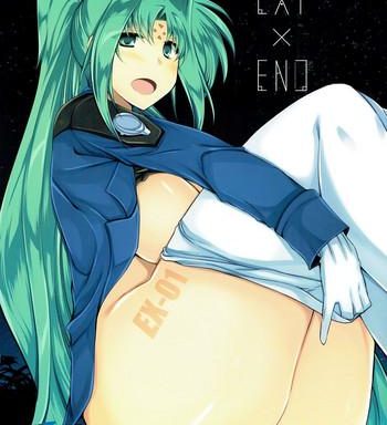 ext x end cover