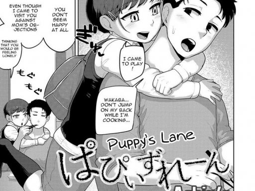 puppy x27 s lane cover