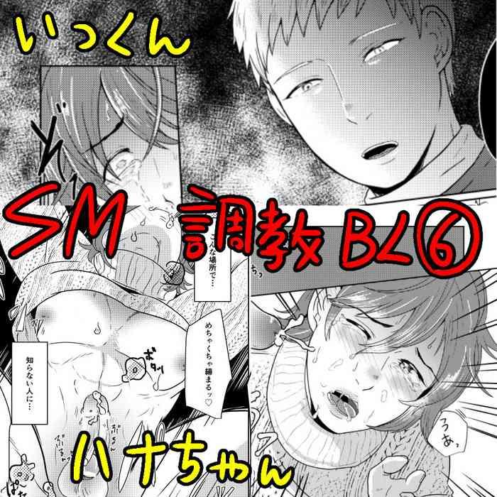 sm p cover