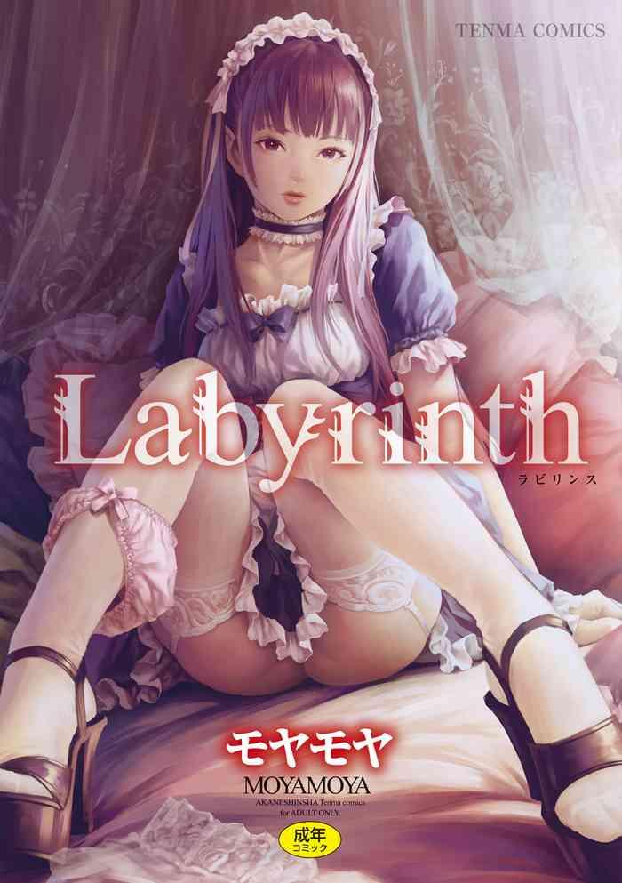 labyrinth cover 1