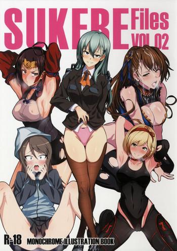 sukebe files vol 02 cover