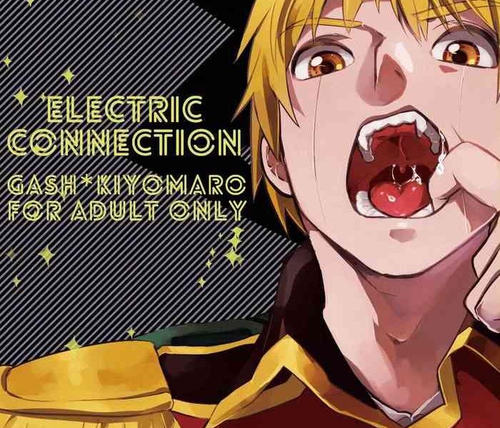 electric connection cover